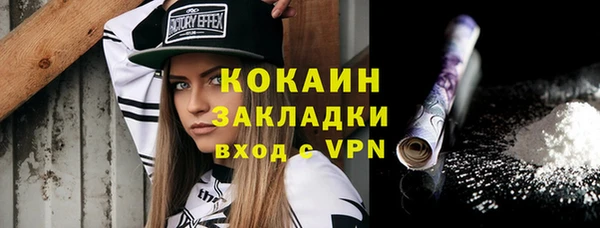 гидра Рославль