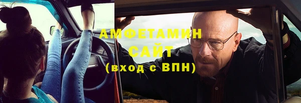 гидра Рославль
