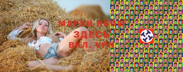 гидра Рославль