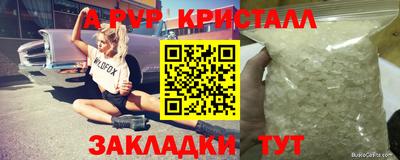 индика Гагарин