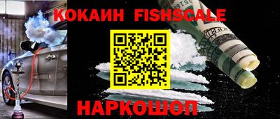 индика Гагарин