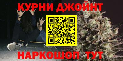 ECSTASY Гатчина