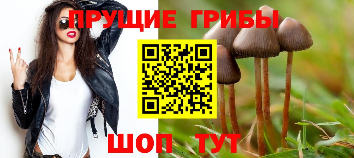 Псилоцибиновые грибы GOLDEN TEACHER  Галлюциногенные грибы прущие грибы  Волгоград  Вход с VPN 
