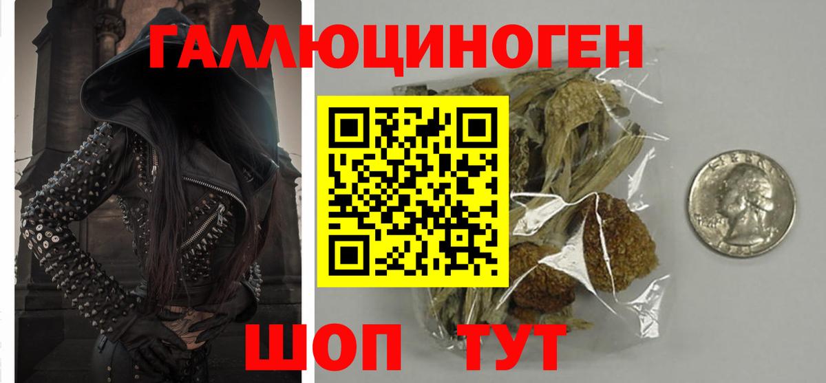 Галлюциногенные грибы мухоморы Волгоград