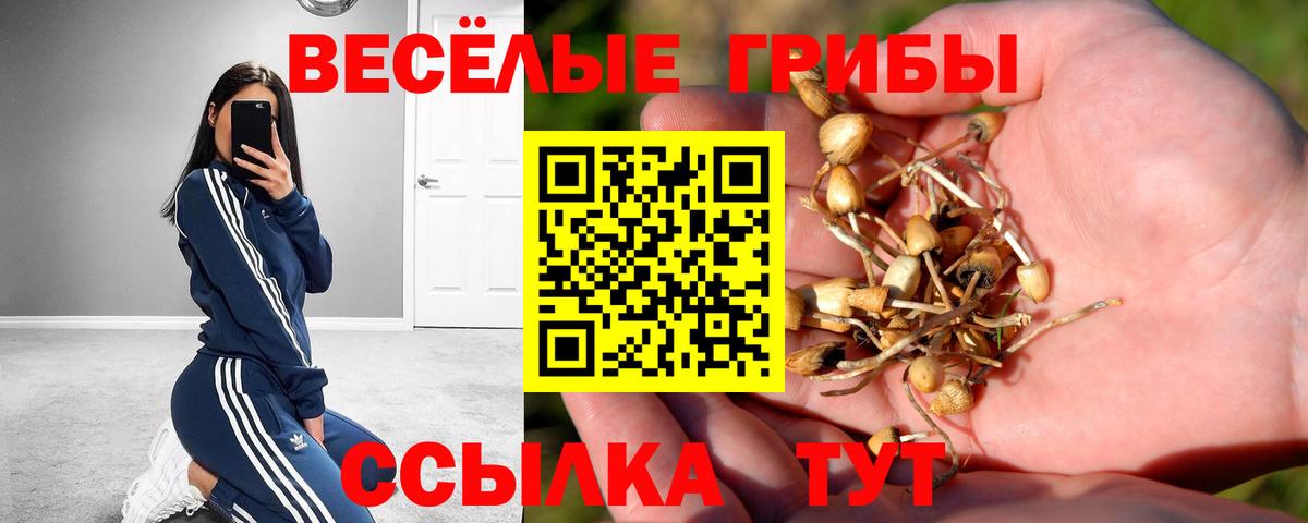 A PVP Волгоград