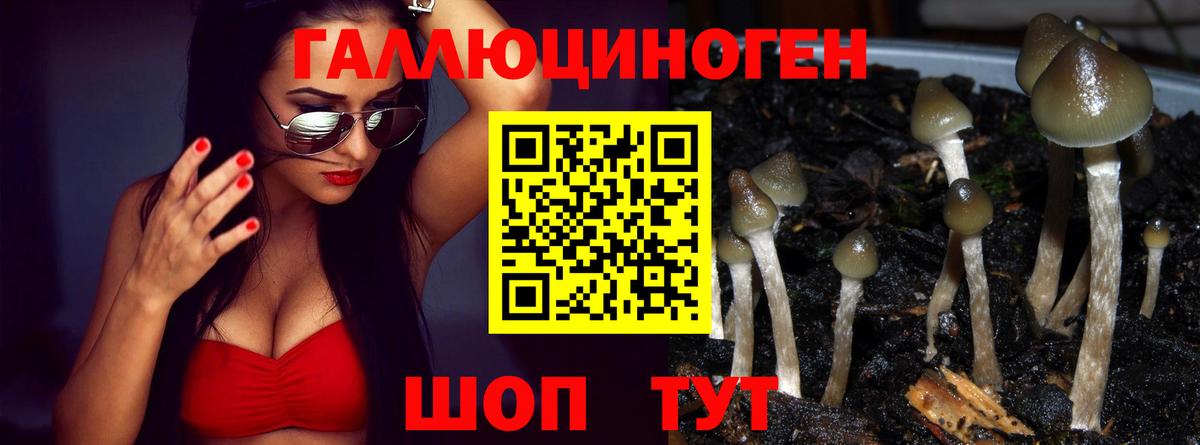 Галлюциногенные грибы мухоморы Волгоград